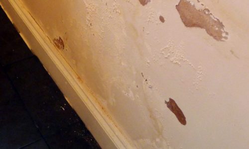 What is Rising Damp
